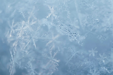 Defocused macro photography of snowflakes as a natural winter background in light blue. Shallow depth of field, close-up.