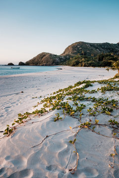 Sunset In A Beautiful White Sandy Beach In Fiji