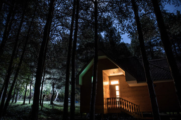 Old spooky house at the pine forest at night. Horror Halloween concept