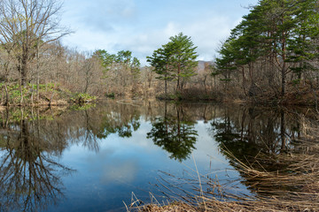 春の姫沼