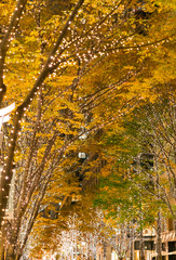 イルミネーション