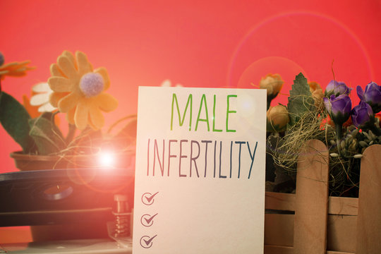 Writing note showing Male Infertility. Business concept for the inability to cause pregnancy in a fertile Flowers and writing equipments plus plain sheet above textured backdrop