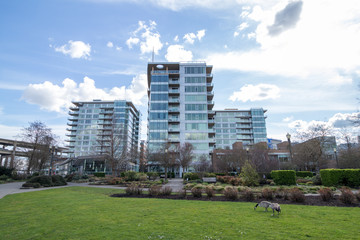 Obraz premium Highrise buldigns in the South Portland South Waterfront district in Portland, Oregon.