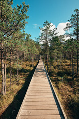 The Landscape around Viru bog, Lahemaa National Park, Estonia