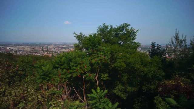View of Montreal City From The Mont Royal Observatory Deck
