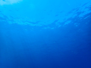 Fototapeta na wymiar Underwater scene and sunbeam