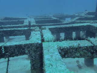 Artificial reef structure in the coral reef