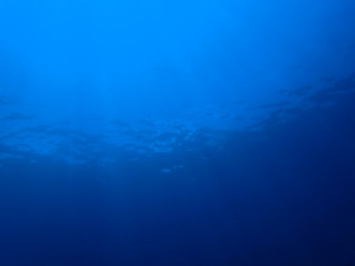 Fototapeta na wymiar Underwater scence