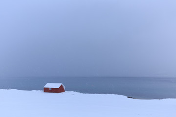 Maison solitaire - Lofoten - Norvège