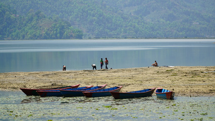 Paragliders flying against the Himalayas , Pokhara , Nepal.