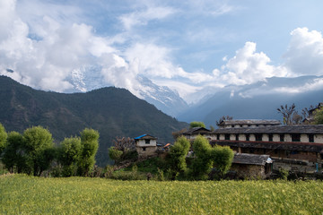 Houses in mountain village and field, Annaourna region, Nepal. Outdoor, alternative.
