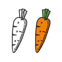 Carrot vector illustration with hand drawn style isolated on white background 