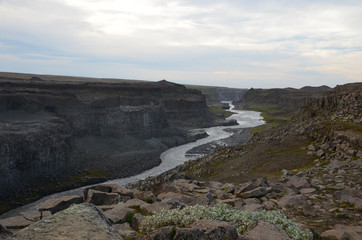 Fototapeta na wymiar Iceland pristine river