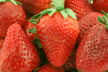 many red strawberry on white background