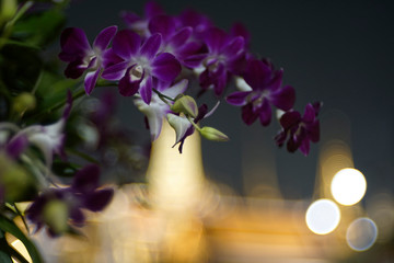 Plakat A beautiful purple orchid bunch with bubble blur of Buddhist temple in background