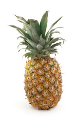one ripe pineapple on white background