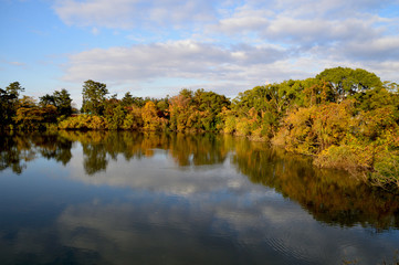 冬の雲が浮かぶ青空が池の水面に映り込んでいる初冬の風景