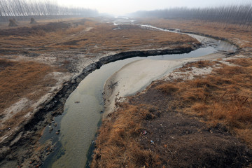 Natural scenery of the river