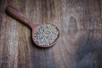 Cumin seeds in wooden spoon