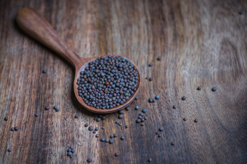 coriander seed in a spoon