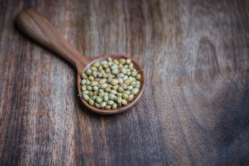 coriander seed in a spoon