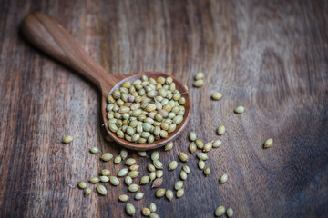 coriander seed in a spoon