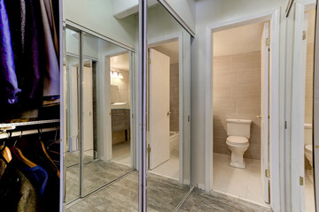 Many mirrors un this unique closet bathroom combination