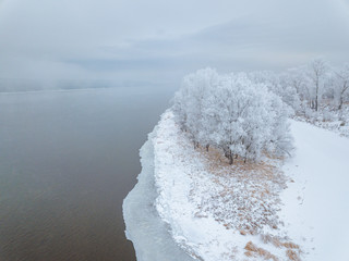 Forest near to Enisey
