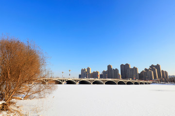 Urban bridges in snow