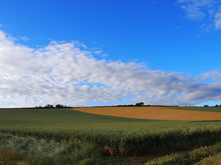 Fototapeta premium Agricultural landscape with fields on the road to Santiago de Compostela, Camino de Santiago, Way of St. James, Journey from Najera to Granon, French way, Spain