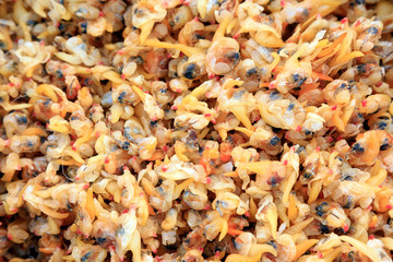 Shellfish meat ingredients