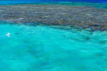 Background of Red sea water surface