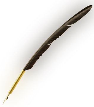 plume d&rsquo;&eacute;criture 