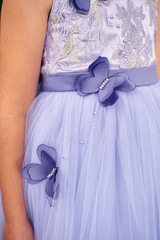 Close-up of a butterfly on a singo color girl's dress.
