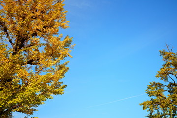 Fototapeta premium 東京駅丸の内オフィスビル