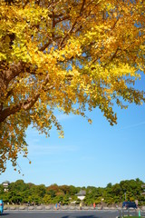 東京駅丸の内オフィスビル