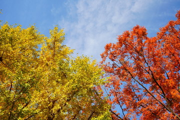 Naklejka premium 東京駅丸の内オフィスビル