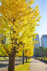 Naklejka premium 東京駅丸の内オフィスビル