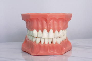 Denture dentist 