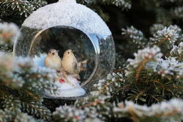 Christmas festive decor. Decorative birds in a glass cocoon on a Christmas tree in hoarfrost background.Winter time.winter Wallpaper.Christmas tree  decor