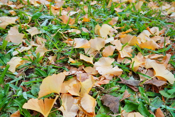 東京駅丸の内オフィスビル