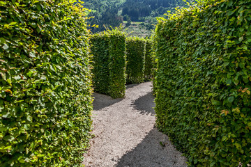 Entrance to decorative green labyrinth in park at sunny day.