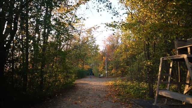 Cinematic Steadicam Walk Through Cap St-Jacques Forest During Autumn