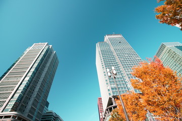 Obraz premium 東京駅丸の内オフィスビル