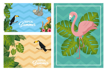 set scenes of tropical summer poster with animals exotics vector illustration design