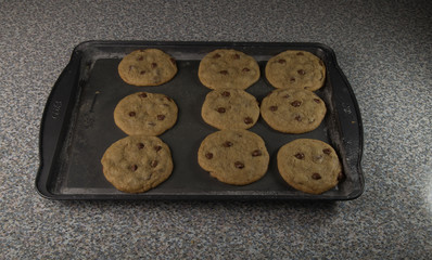 GALLETAS CON CHISPAS DE CHOCOLATE
