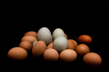 eggs isolated on black background