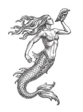 Hand Drawn Illustration In The Engraving Style, Sea Mermaid With A Shell.