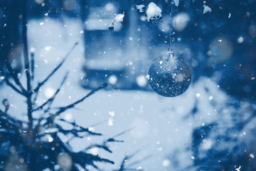 Christmas ball on a tree branch blue toned