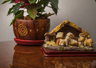 NAVIDAD